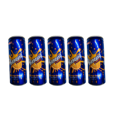 5 Pack Rani Orange Float drink from Afghanistan